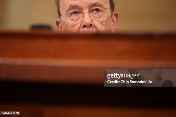 Commerce Secretary Wilbur Ross testifies before the House Ways and Means Committee in the Longworth House Office Building on Capitol Hill March 22,...