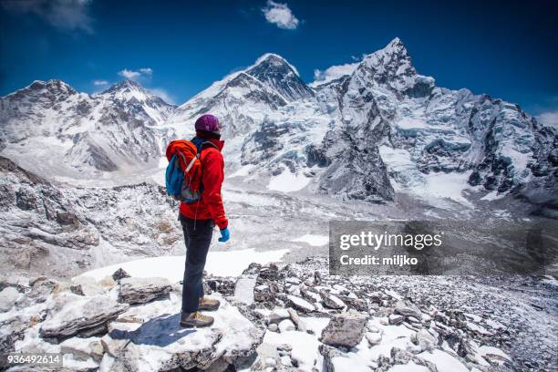femme regardant la vue sur l’himalaya - nepal photos et images de collection