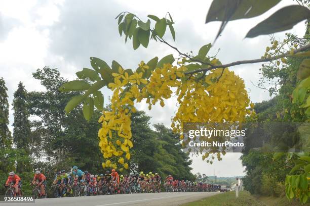 The peloton during the fifth stage, the mountain stage of 169.4km from Bentong to Cameron Highlands, of the 2018 Le Tour de Langkawi. On Thursday,...