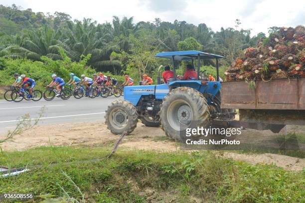 The peloton during the fifth stage, the mountain stage of 169.4km from Bentong to Cameron Highlands, of the 2018 Le Tour de Langkawi. On Thursday,...