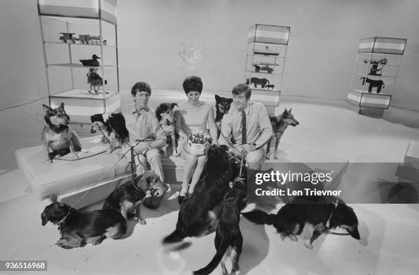 British television presenters John Noakes , Valerie Singleton, and Peter Purves celebrating Petra's sixth birthday with some of her canine friends at...