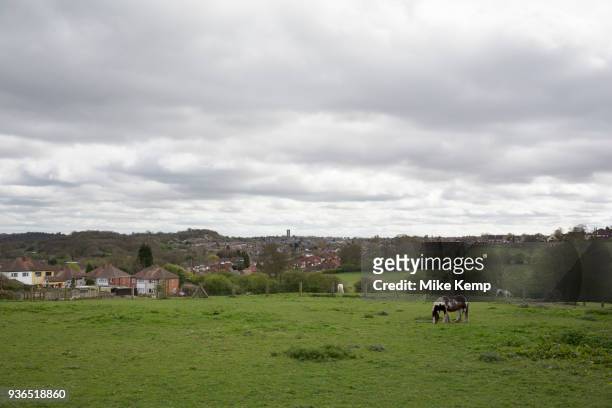 Horses on the Limestone Way from Dudley, Birmingham, England, United Kingdom. The Limestone Way from Dudley to Sedgley is a route along four...