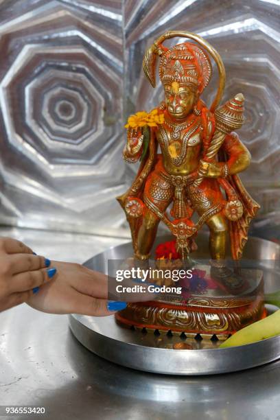 Faithful touching Hanuman murthi in Sanatan Mandir hindu temple, Leicester. United kingdom.