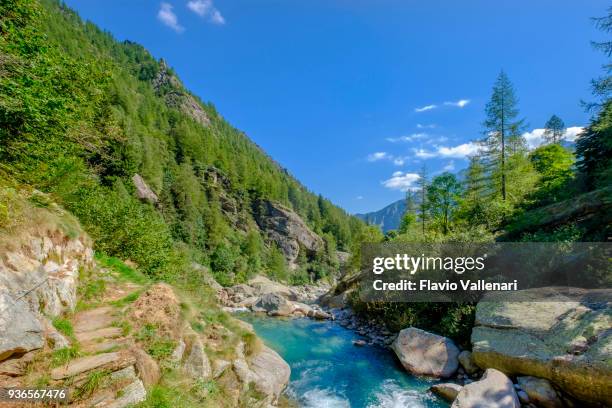 voetpad in valle soana, een dal gelegen op de zuidelijke helling van de gran paradiso-massief. nationaal park gran paradiso, piemonte, italië - piemonte stockfoto's en -beelden