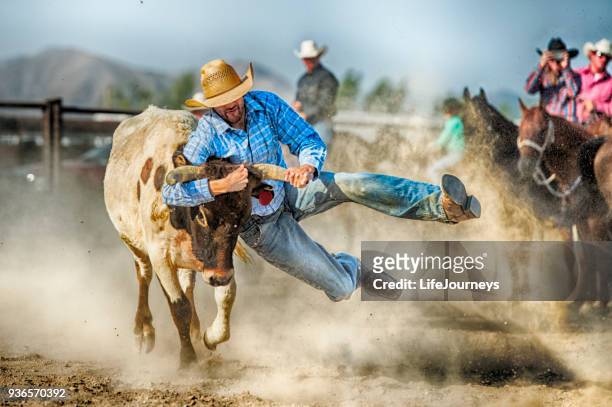 gritty tough cowboy during the steer wrestling competition hanging on to a land steers horns as he prepares to control him and bring him to the ground - sport equestre imagens e fotografias de stock