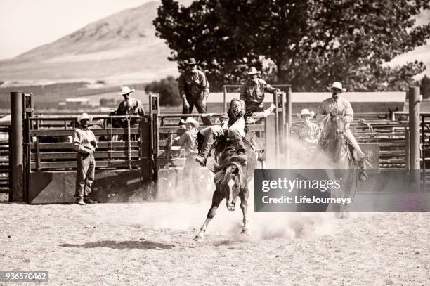sepia toned bronc busting cowboy at the local rodeo on the ride of his life - eighth rank stock pictures, royalty-free photos & images