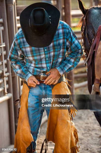 cowboy solitario dietro gli scivoli in un rodeo che si prepara a cavalcare il suo cavallo strappando i suoi chaps - imbracatura di pelle foto e immagini stock