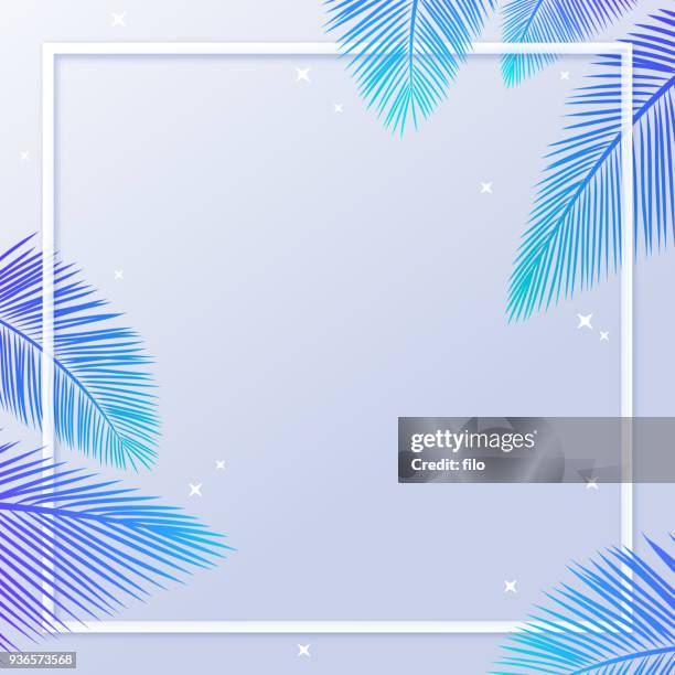 ilustrações, clipart, desenhos animados e ícones de verão palm leaf frame fundo - camisa havaiana