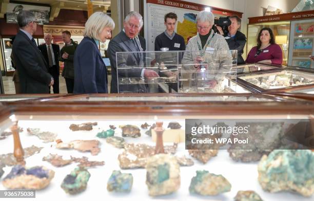 Prince Charles, Prince of Wales looks at exhibits, during a visit to the Royal Cornwall Museum in Truro to mark its bicentenary year on March 22,...