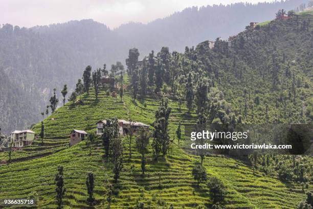himachal pradesh landscape near khajjiar - himachal pradesh stock pictures, royalty-free photos & images