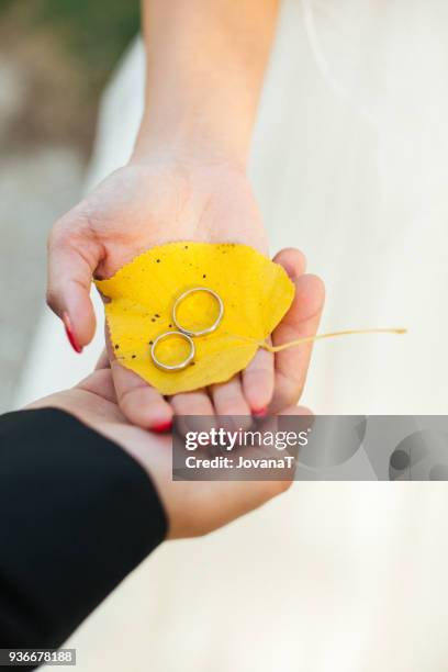 bride and groom holding yellow leaf with wedding rings on it - jovanat stock pictures, royalty-free photos & images