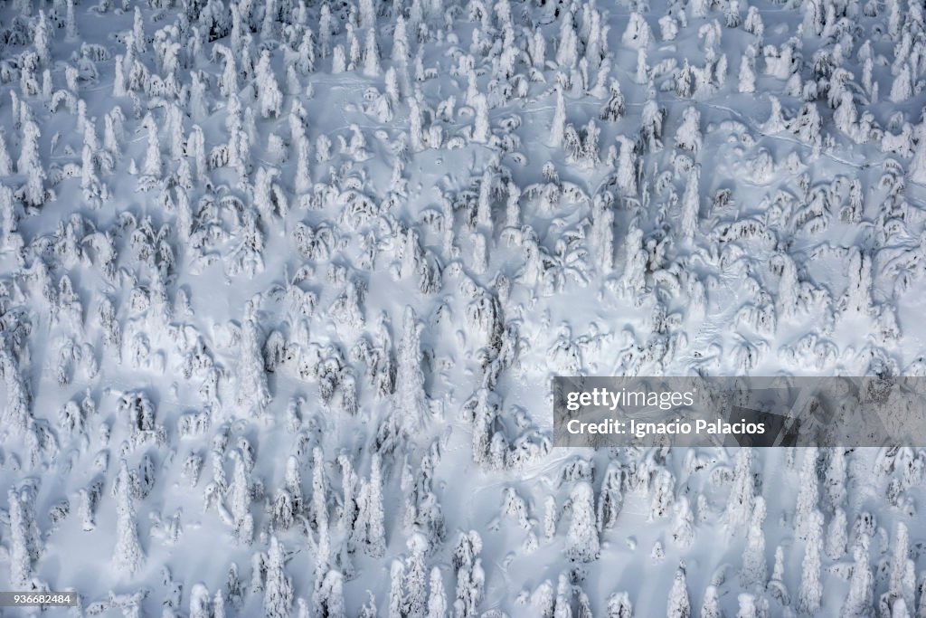 Aerial images of Finish frozen forests