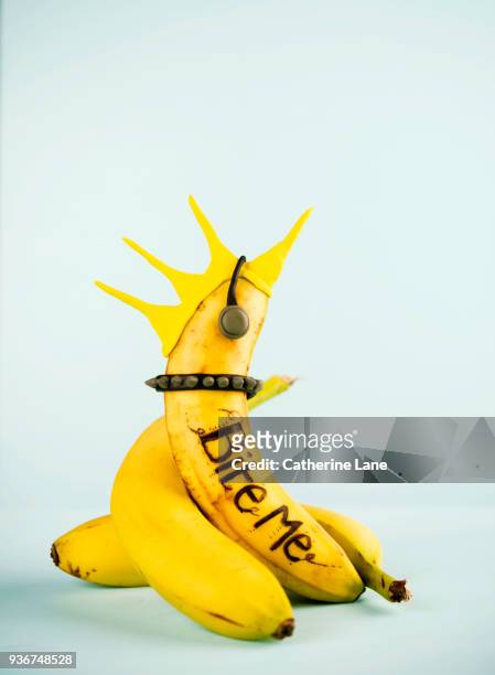 punk banana food character - hundehalsband stock-fotos und bilder