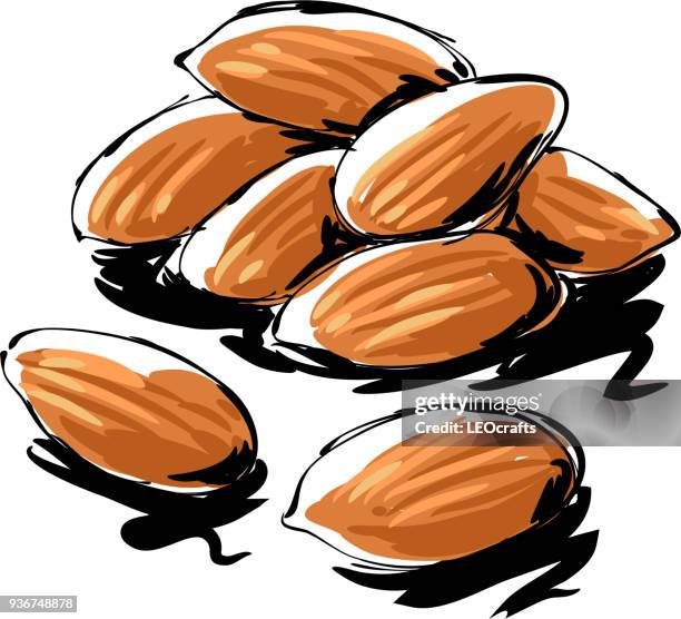 ilustrações de stock, clip art, desenhos animados e ícones de almonds drawing - amendoas