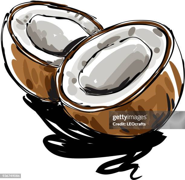 illustrazioni stock, clip art, cartoni animati e icone di tendenza di disegno di cocco - coconut