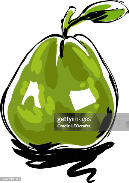 stockillustraties, clipart, cartoons en iconen met guave tekening - guave