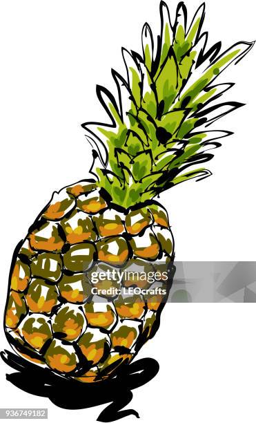 pineapple drawing - pineapple texture stock illustrations