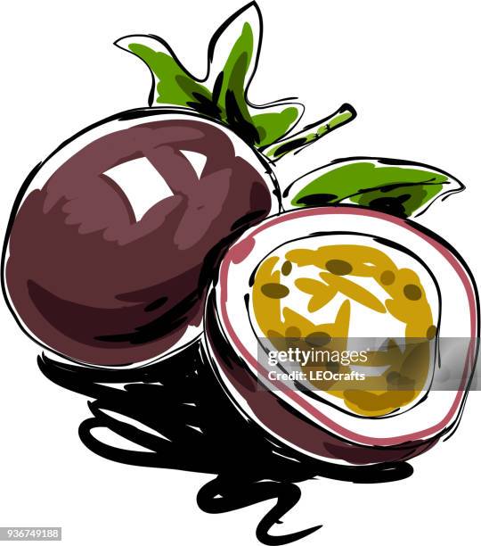 stockillustraties, clipart, cartoons en iconen met passievruchten tekening - passievrucht