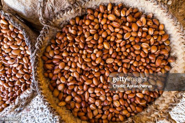 background of argan seeds produced by argania spinosa tree - argan stock-fotos und bilder