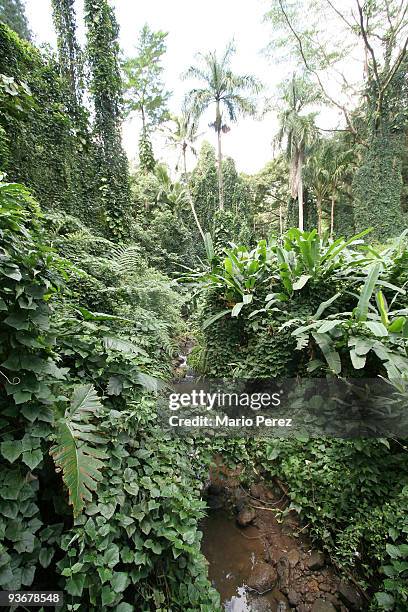 Maternity Leave" - A desperate Claire, along with Kate and Rousseau, attempts a return to the scene of her kidnapping where she believes she might...