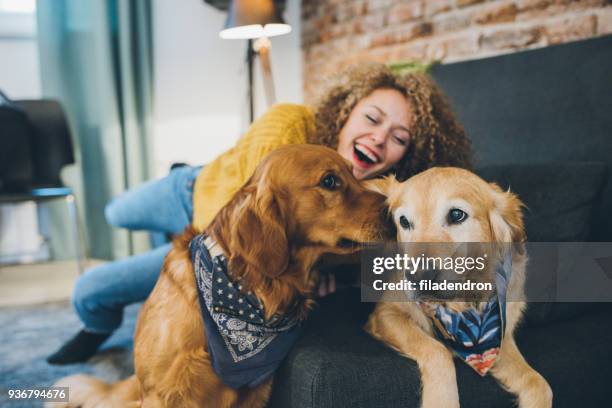 vrouw speelt met haar honden - twee dieren stockfoto's en -beelden