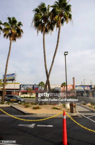 palm trees at street of westchester, los angeles airport, california, usa - westchester ca stock pictures, royalty-free photos & images
