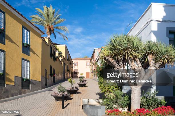 view of "granadilla de abona" town, in south of tenerife island (canary islands. spain) - dähncke stock pictures, royalty-free photos & images