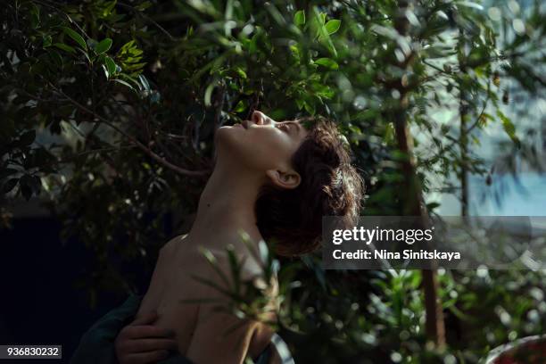 shirtless woman resting among trees - birthday suit stock-fotos und bilder