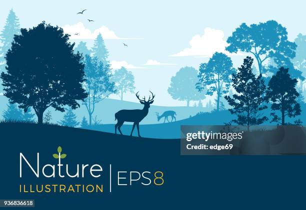 stockillustraties, clipart, cartoons en iconen met bos achtergrond met herten - woodland