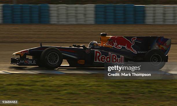 Daniel Ricciardo of Australia and Red Bull Racing in his car during the Formula one young drivers test at the Circuio De Jerez on December 3, 2009 in...