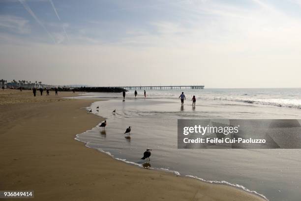 venice beach, califoria, usa - venice beach pier stock pictures, royalty-free photos & images