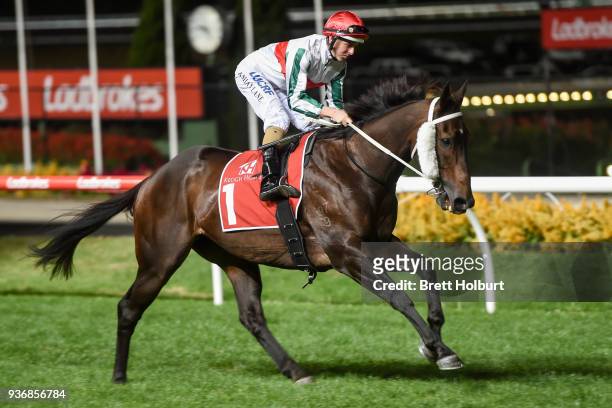 Rock Magic ridden by Damian Lane heads to the barrier before the Keogh Homes William Reid Stakes at Moonee Valley Racecourse on March 23, 2018 in...