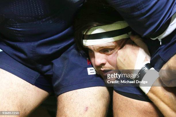 Adam Coleman of the Rebels is seen deep in the srcum during the round six Super Rugby match between the Melbourne Rebels and the Sharks at AAMI Park...