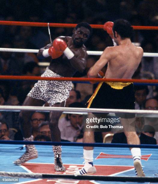 Azumah Nelson of Ghana in action during the WBC World Super Featherweight Championship Title fight against Mario Martinez in Las Vegas, 25th February...