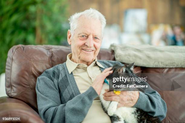 elderly man petting a cat - fat cat stock pictures, royalty-free photos & images