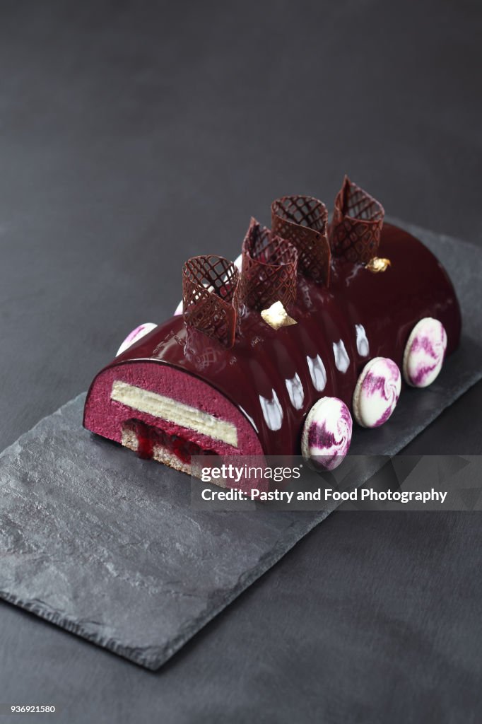 Contemporary Black Currant Chocolate Yule Log