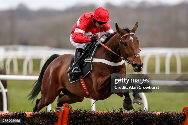 Noel Fehily riding Darius Des Bois clear the last to win The Doom Bar Handicap Hurdle Race at Newbury racecourse on March 23, 2018 in Newbury,...