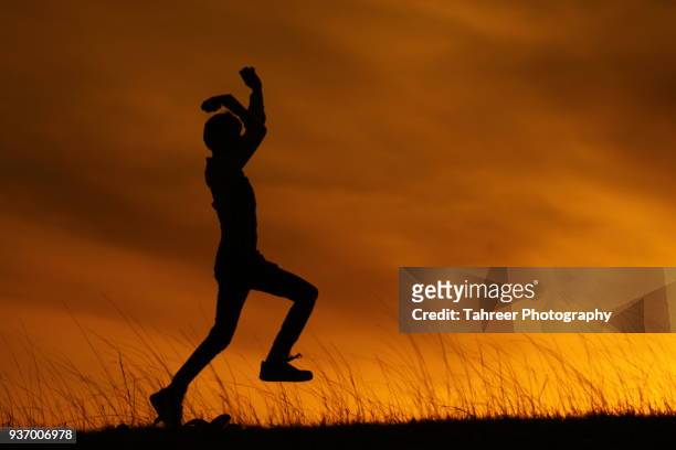 silhouette of a cricket bowler - cricket bowler imagens e fotografias de stock