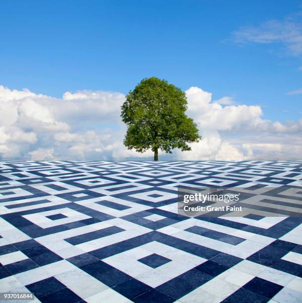 single large tree in infinity landscape - chart branch stock pictures, royalty-free photos & images