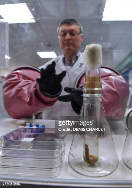 Doctor Philip Supply, Research Director for the National Centre for Scientific Research , holds on March 22, 2018 in Lille, northern France, the...
