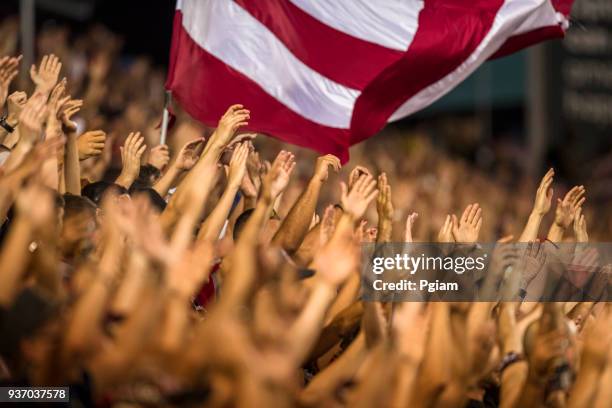 leidenschaftliche fans jubeln und heben die hand bei einer sportveranstaltung - hockey crowd stock-fotos und bilder