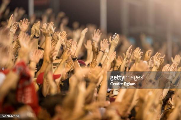 gepassioneerde fans juichen en handen bij een sportevenement te verhogen - audience football stockfoto's en -beelden