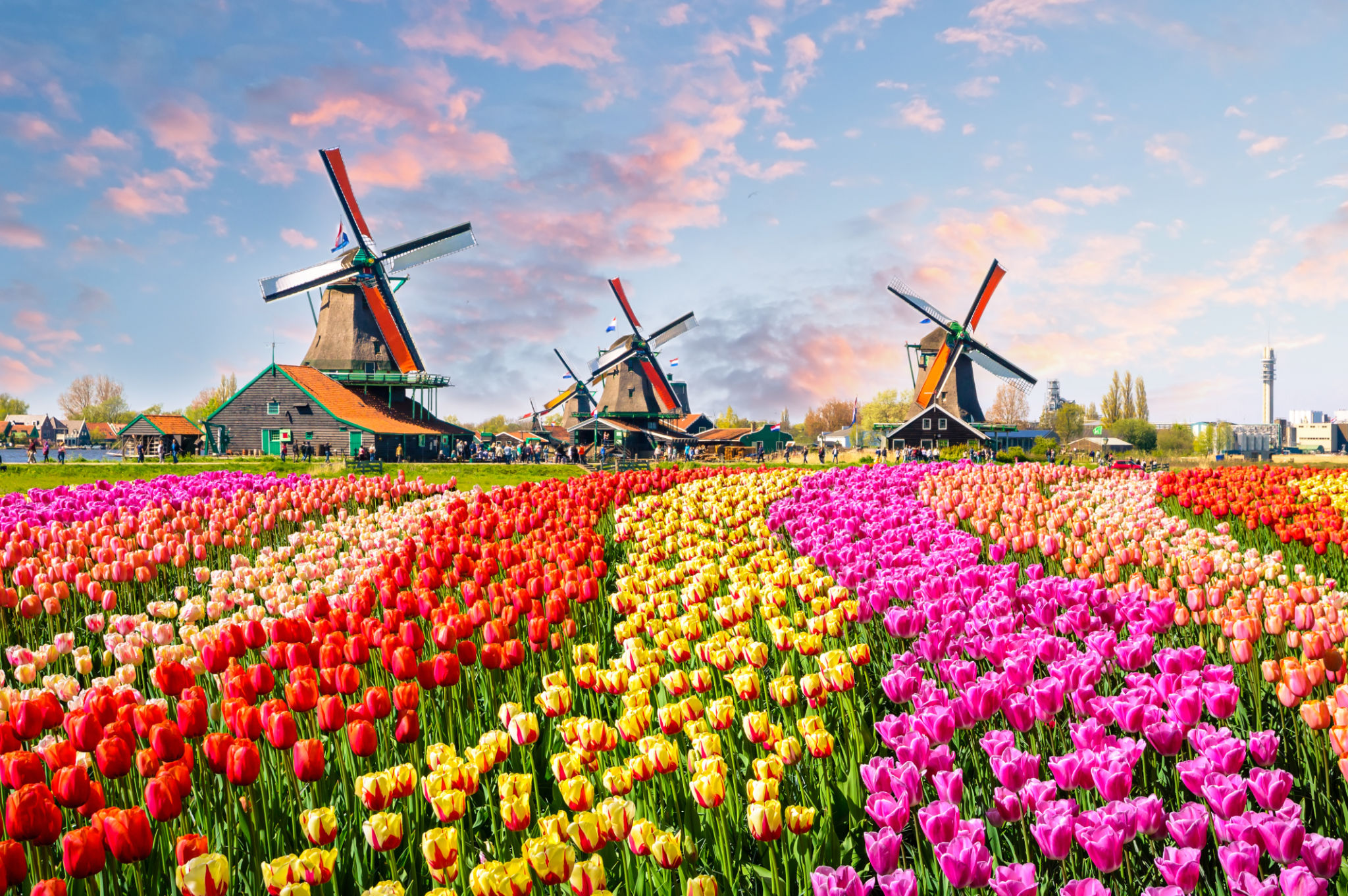 netherlands travel