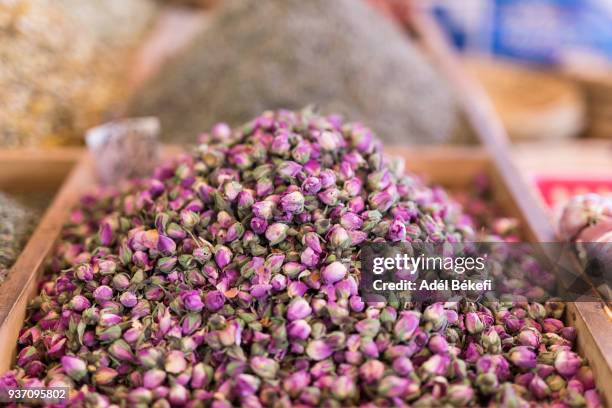 dried rose buds for sale at a local market (morocco, marrakech) - rosa violette parfumee photos et images de collection