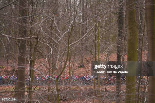 Peloton / Forest / Landscape / during the 61st E3 Harelbeke 2018 a 206,4km race from Harelbeke to Harelbeke on March 23, 2018 in Harelbeke, Belgium.