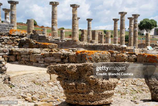 ruins of baelo claudia - baelo claudia stockfoto's en -beelden
