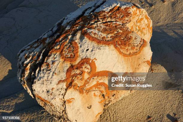 iron lichen, badlands, dinosaur provincial park - dinosaur provincial park fotografías e imágenes de stock