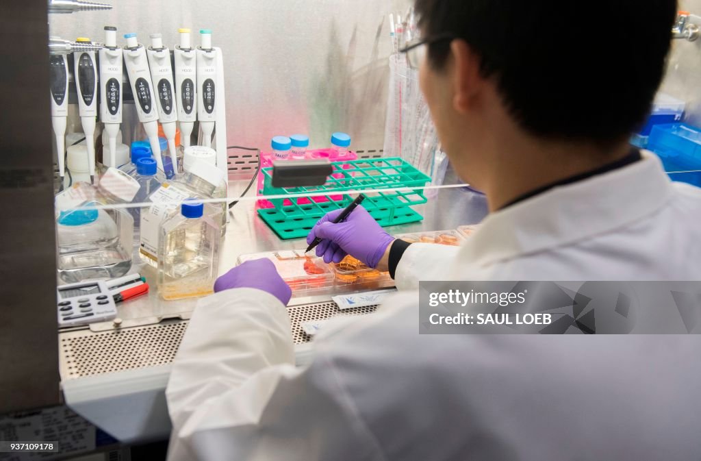 US-HEALTH-PEOPLE-RESEARCH-CANCER-pharmaceutical