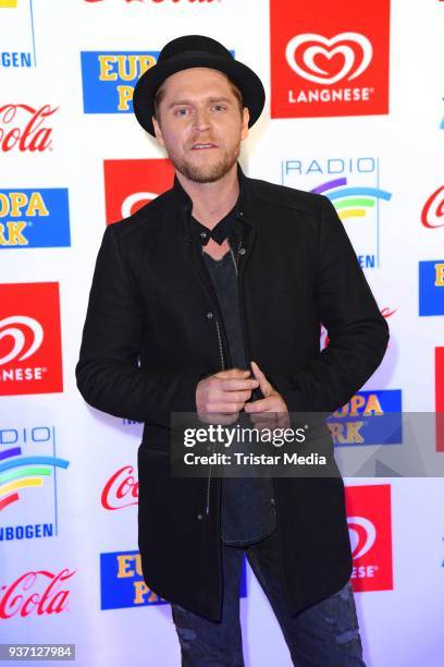 Johannes Oerding attends the Radio Regenbogen Award 2018 on March 23, 2018 in Rust, Germany.