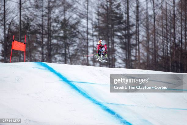 Tina Weirather of Liechtenstein in action during the Alpine Skiing - Ladies' Downhill race at Jeongseon Alpine Centre on February 21, 2018 in...